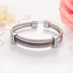Stainless Steel Bangle ZC-0506